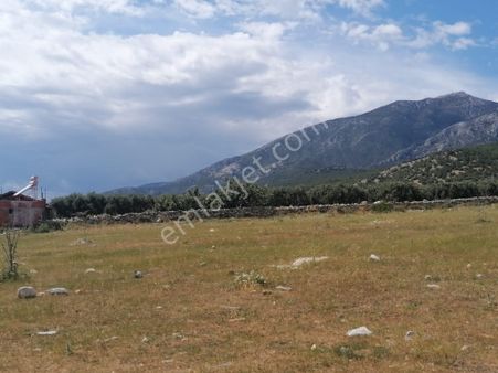 Doğanbey Köyü Sökede Satılık Tarla