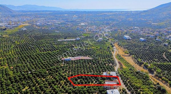 Satılık Müstakil Tek Tapulu Arsa