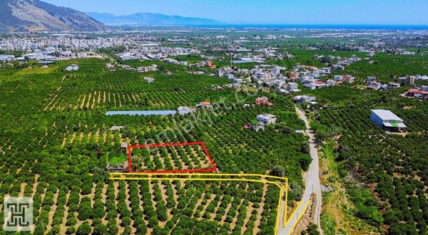 Rızai Taksimli 2.250 M2 Satılık Bahçe