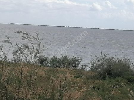 Doğanbey Köyü Sökede Satılık Tarla