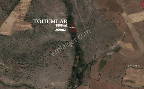 Lotus Tan Çankaya Tohumlar Ve Kömürcüde Arsa Ve Bahçe Yerleri