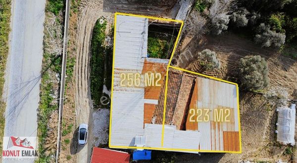 Konut Emlaktan Arslanlıda Satılık Çiftlik Ve Çiftlik Evi