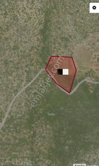 Doğanbey Köyü Sökede Satılık Zeytinlik