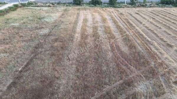 Gökova Kızılyaka Mallesinde Satılık 2000 M2 Arsa