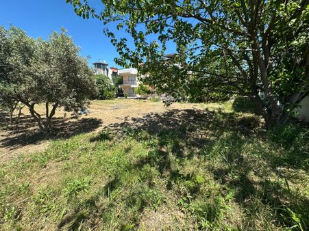 Urla Kuşçularda Havuzlu, Akıllı Sistemli, Tam Müstakil Villa