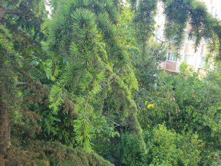 Eyüpsultan İslambeyde Satılık 2+1 85 M2 Daire