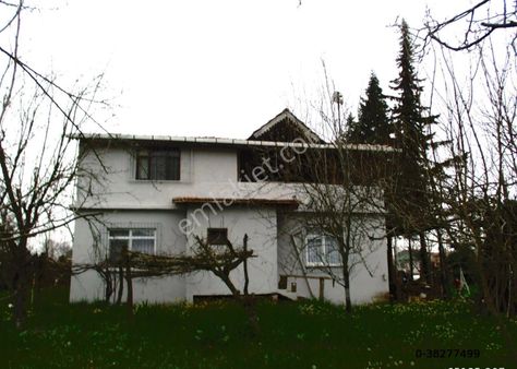 Samsun Terme Beşikli K Evi Olan Satılık Fındık Tarlası 28 Dönüm