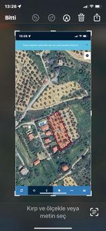 Taylıeli Köyünde Emsalsiz Zeytinlik