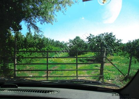 Samsun Çarşamba Damlataş Mah Mevkisinde Denize Yakın 12000 M2 Acil Satılık Fındık Bahçesi