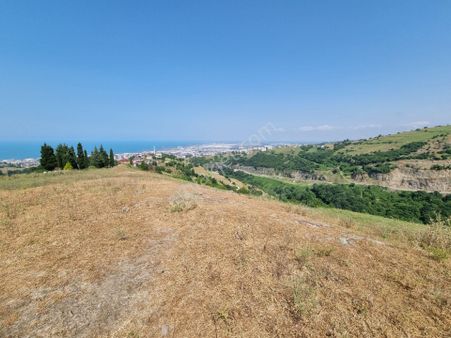 Akgün Kurumsaldan Tekkeköy Altınkaya'da Satılık 4336 M.tarla