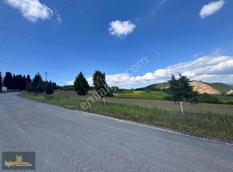 Yalova Çiftlikköy Kabaklı'da 29.544 M2 İmar Sınırında