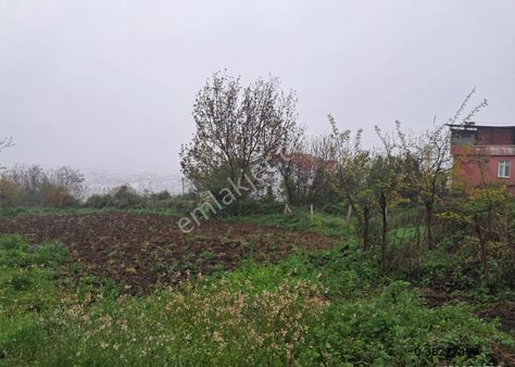 Samsun Atakum Çakırlar Da Deniz Manzaralı İki Kata İmarlı Arsa Acil Satılık Villalık Arsa