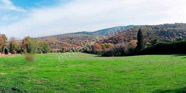 Kaman Dallasta İmara Komşu Yatırıma Uygun 1995 M² Satılık Arsa