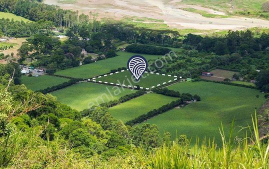 Kaman Dallas'ta Yatırıma Uygun İmara Sınır 625 M² Satılık Arsa