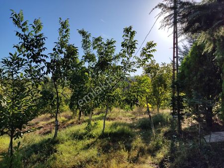 Salihli Yeniköy'de Satılık Ev Ve Bahçe
