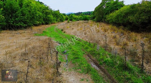 Lapseki Eçialanda 9.900 M2 Dere Kenarı Arazi