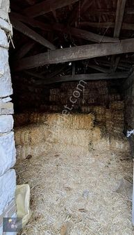 Lapseki Yaylalar Köyünde Satılık Köy Evi Ve Taş Dam