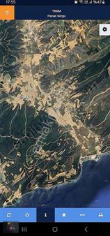 Eceabat Yalova Köy E Yakın Yol Sorunu Olmayan 8000m2 Satılık