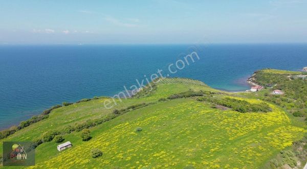 Çanakkale Lapsekide Deniz Ve Doğa Severlere Özel 300 M2 Arsa