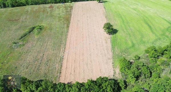 Doğa İle İç İçe Yola Cepheli 5982 M2 Müstakil Satılık Arazi!