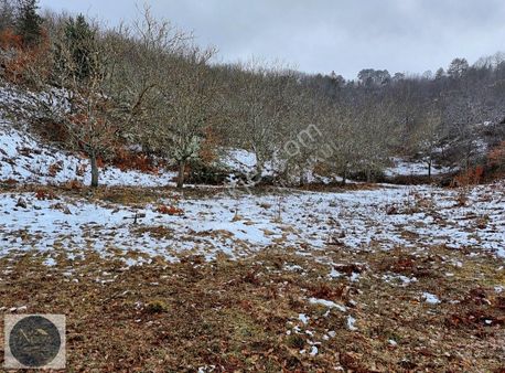 Doğa Tutkunlarına Mudurnu Çağşak Köyünde 4718 M2 Bahçe Ve Tarla
