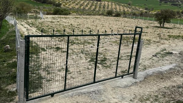 Denizli Sarayköy Kumlucada 4 Dönüm Zeytin Bahçemiz Satiliktir