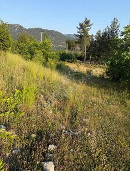 Fethiye Nif Mahallesi'nde Muhteşem Lokasyon'da Satılık Arazi