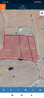 Merkez Işıkyolu Kepur Mevki Satlik 3 Ayri Tarla