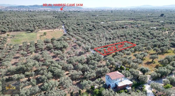 Fırsat Efendi Karayerde 1.021 M² Elektrik & Su Yanı Başında!