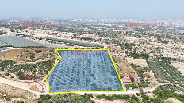 W Property'den Mersin Akdeniz Bağlarbaşı'nda 10.630m² Tarla
