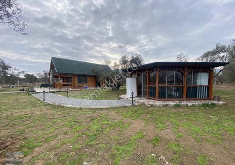 Balıkesir Ayvalık Cunda Da Satılık Ciftlikevi