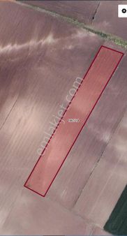 Dijitalemlak'tan Bandırma Akçapınarda Yatırımlık Satılık 8 Dönüm Arazi.