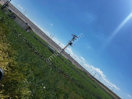 Edirne Yeni Kadın Köyünde Satılık Yatırımlık Fırsat Arazi