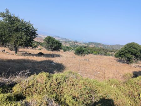 Ays Den Satılık Tarla