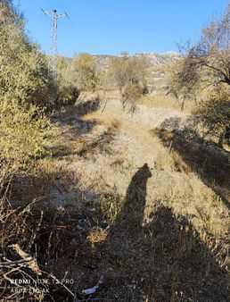 Konyaaltı Arda Emlak Tan Satılık Bahçe