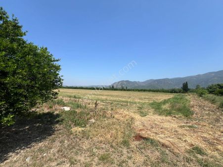 Rota Köyceğiz'den Toparlar'da Satılık 10 Dönüm Tarla