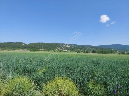 Denizli Çameli Kızılyakada Satılık1500 M2 Müstakil Tapulu Kelepir Arazi