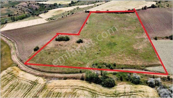 Amasya/merzifon Satılık Uygun Yolu Olan Tarla