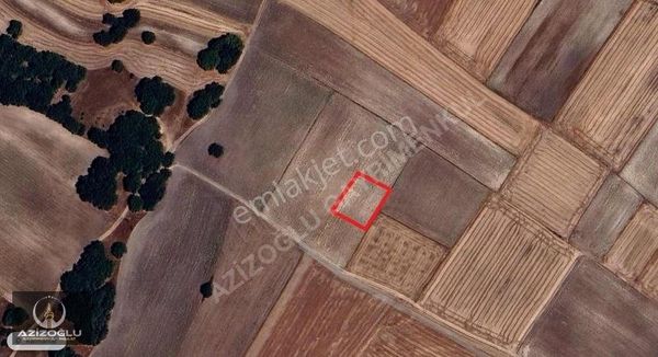 Azizoğlu'dan Kampanya 1.430m2 Kelepir Fiyata Tarla