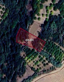 Afyon Prestij Gayrimenkulden Aksaray Camili Köyü Satılık Bahçe