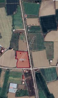 Menemen De Yatırım Fırsatı