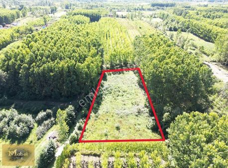 Mabel'den Terme Sakarlıda Osb Alanında Arsa Fırsatı