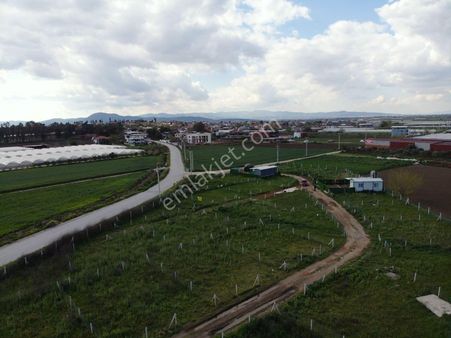 Çileme Köyü; Tel Örgüsü Çekili, Elektrik Ve Suyu İçinde 195 M2 Kooperatif Hisseli Satılık Bahçe