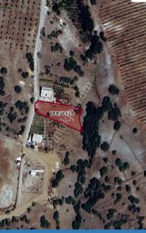 Değirmenli Yukarı Satılık 1.200 M2 Üzüm Bağı