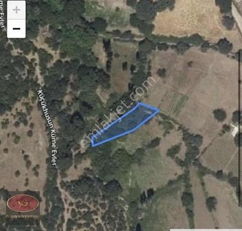 Ayvacık'ta - İçinde Meyve Ağaçları Bulunan - Satılık Fırsat Arsa