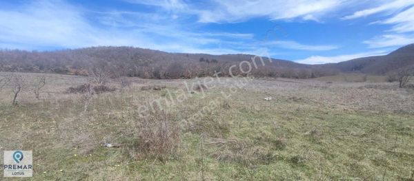 Kestel Nüzhetiye'de Satılık Emsalsiz Tarla