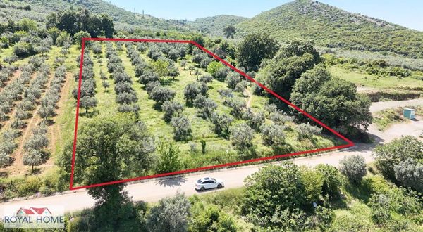 Nilüfere Sınır Akçapınar Köyünde Asfalta Cephe Göl Manzaralı Yer