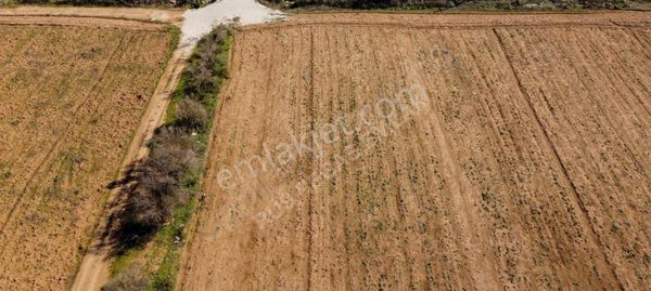 Isparta Keçiborlu Ana Yol'a Yakın Yatırımlık Tarla