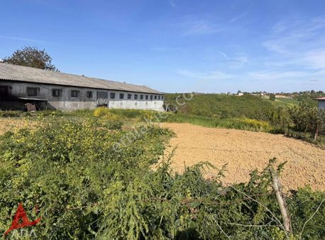 Sakarya Kaynarca Uğurlu Köy Merkezinde İmarlı Arsa