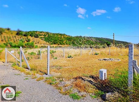 Tapulu Tarla Elektrik Ve Suyu Var